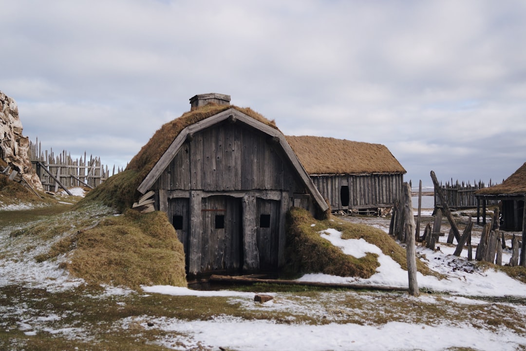 In-game screenshot of Northgard Viking tribe strategy and building